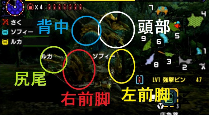 Mhx ジンオウガの部位破壊講座 弱点 画像付き 攻略 モンスターハンタークロス 狩りゲー島